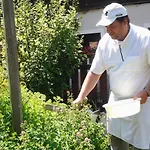 Bio-bauernhof-hotel Matlschweiger Lassing (Liezen)