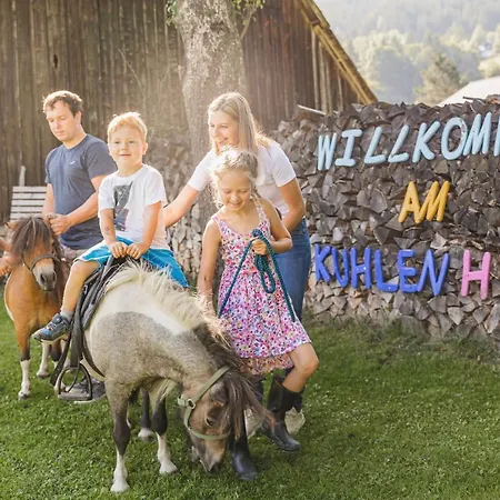 Bio-Bauernhof-Hotel Matlschweiger Farm stay Lassing (Liezen)