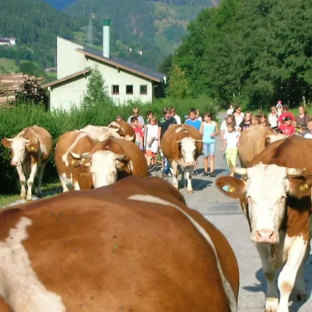 Bio-Bauernhof-Hotel Matlschweiger Farm stay