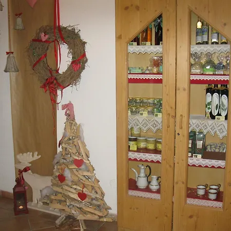Bio-Bauernhof-Hotel Matlschweiger Farm stay