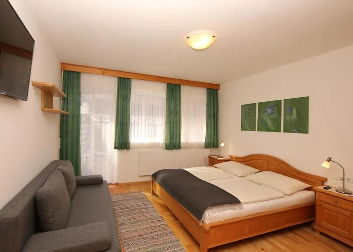 Bio-bauernhof-hotel Matlschweiger 农家乐 *