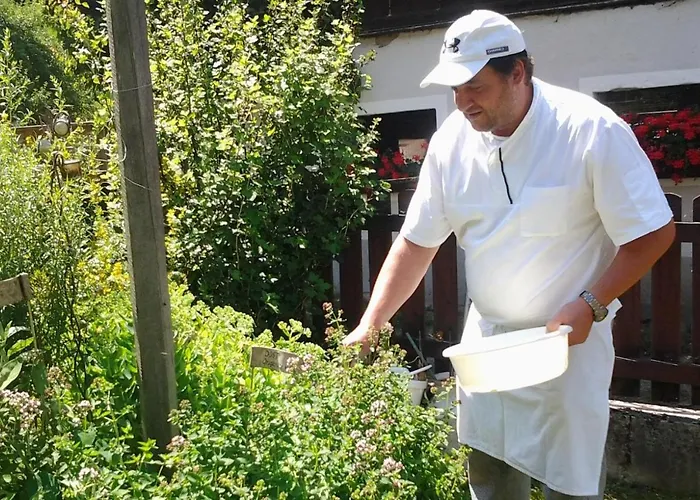 Bio-bauernhof-hotel Matlschweiger Lassing (Liezen)