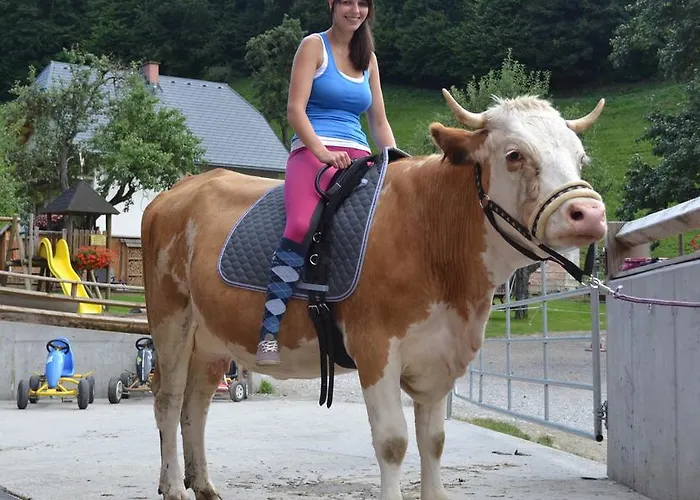 Bio-bauernhof-hotel Matlschweiger