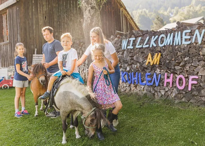 Bio-bauernhof-hotel Matlschweiger 农家乐 Lassing (Liezen)