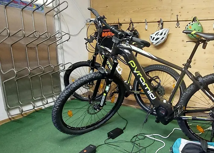 Bio-bauernhof-hotel Matlschweiger Bauernhof *