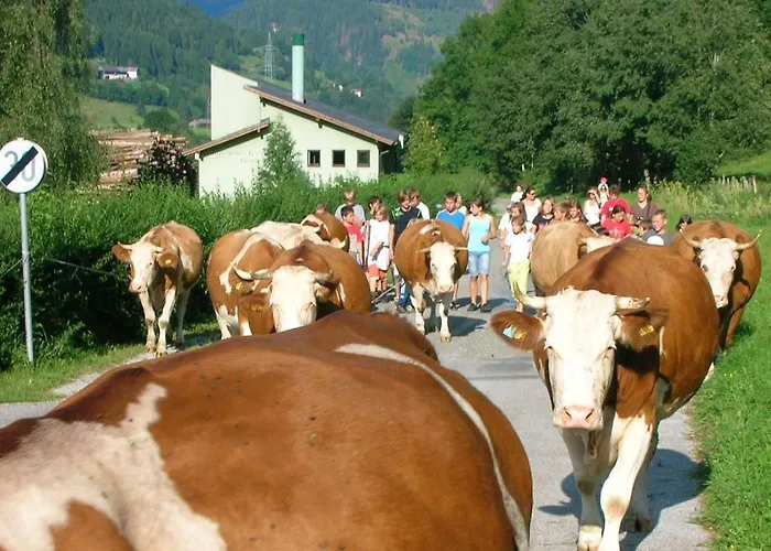 Bio-bauernhof-hotel Matlschweiger 农家乐